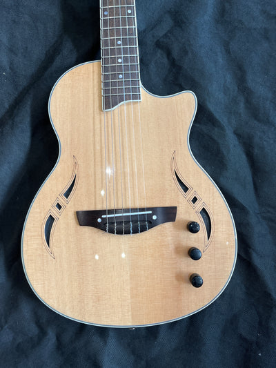 Nashville Nylon Strung NT, Used - GG38