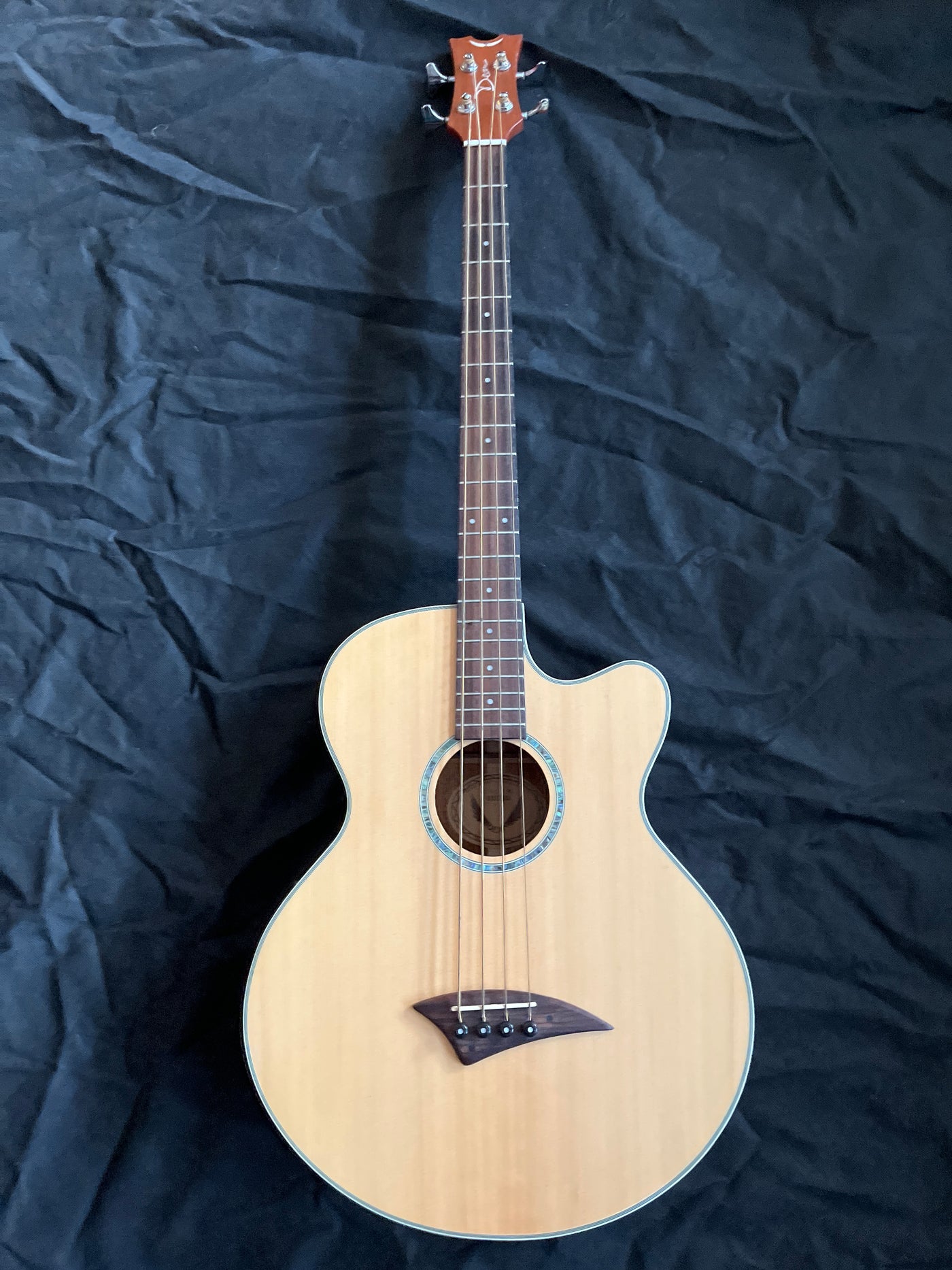 Performer CE Electro-Acoustic Bass Guitar & Gig Bag, Used - HH01C