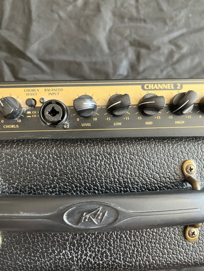 E208 Ecoustic - Acoustic guitar amp, used