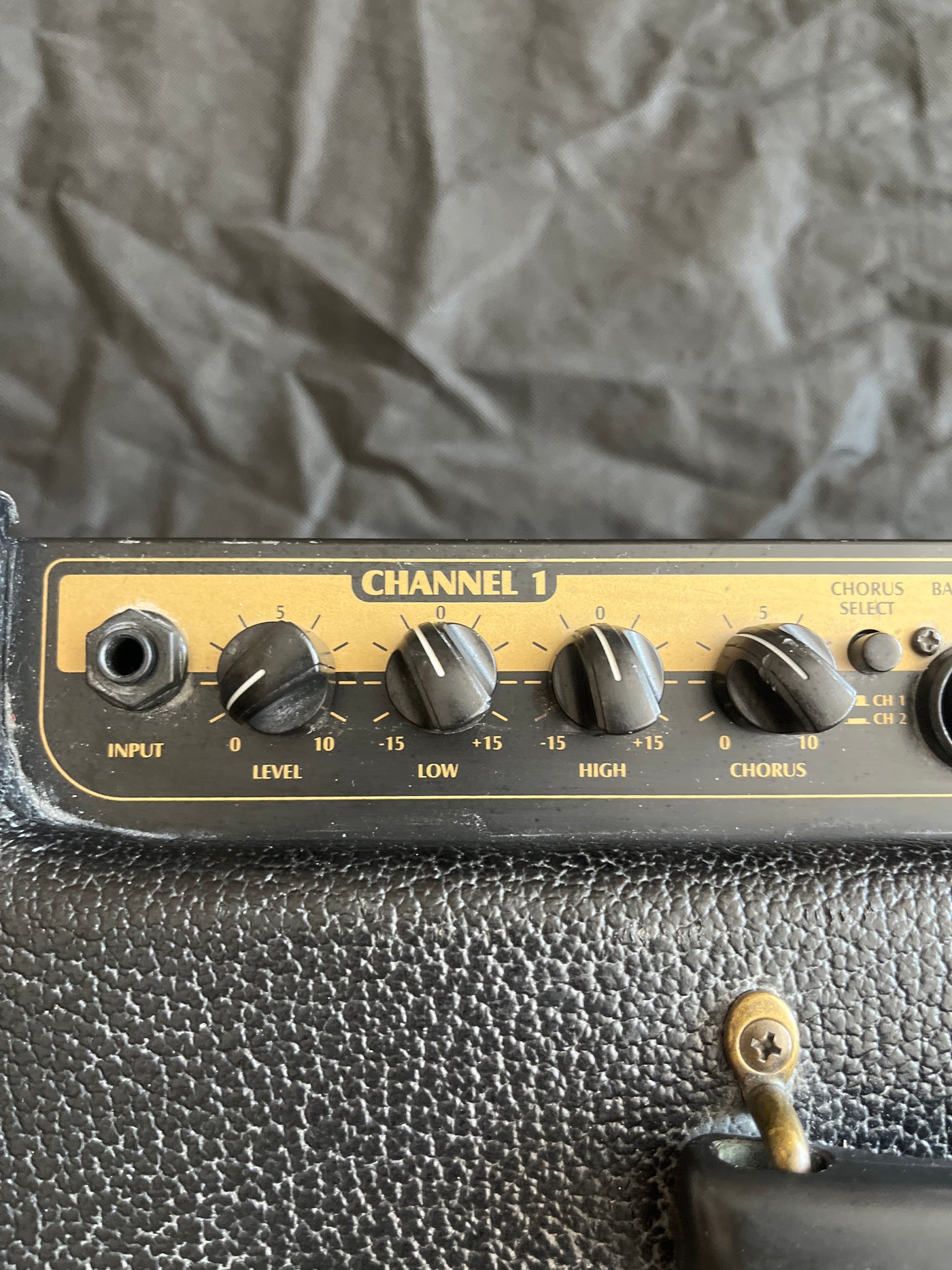 E208 Ecoustic - Acoustic guitar amp, used