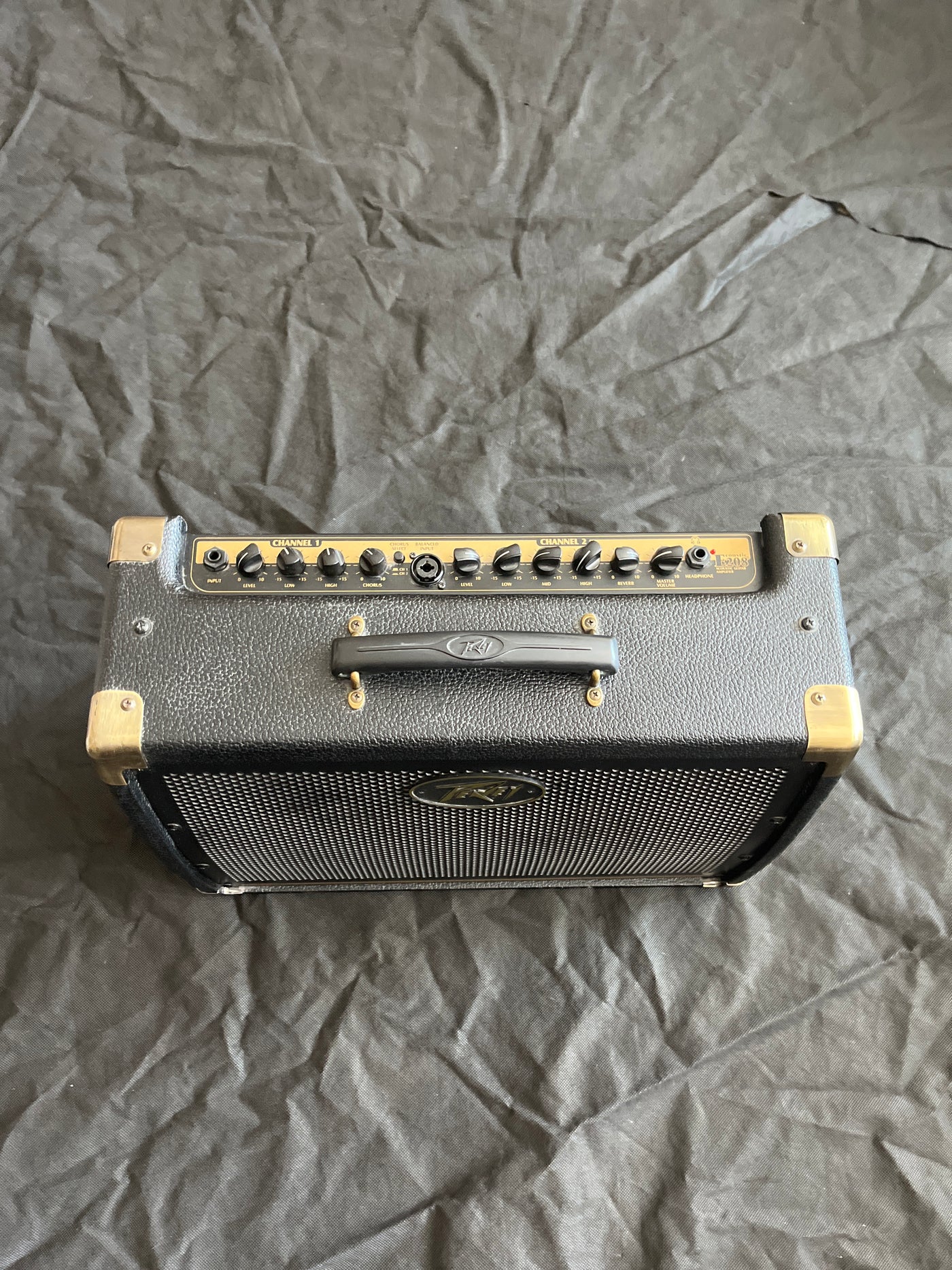 E208 Ecoustic - Acoustic guitar amp, used