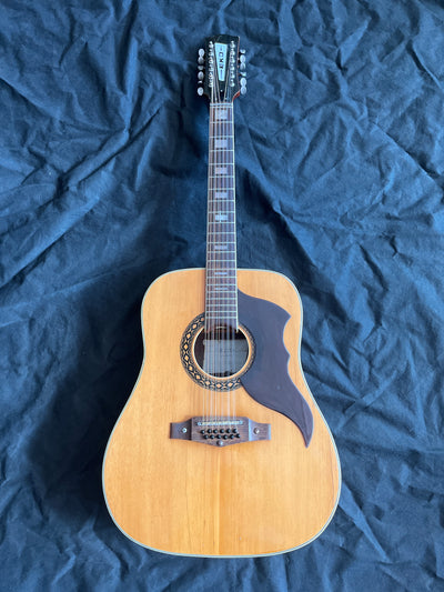 Vintage Ranger 12 String Acoustic, Used