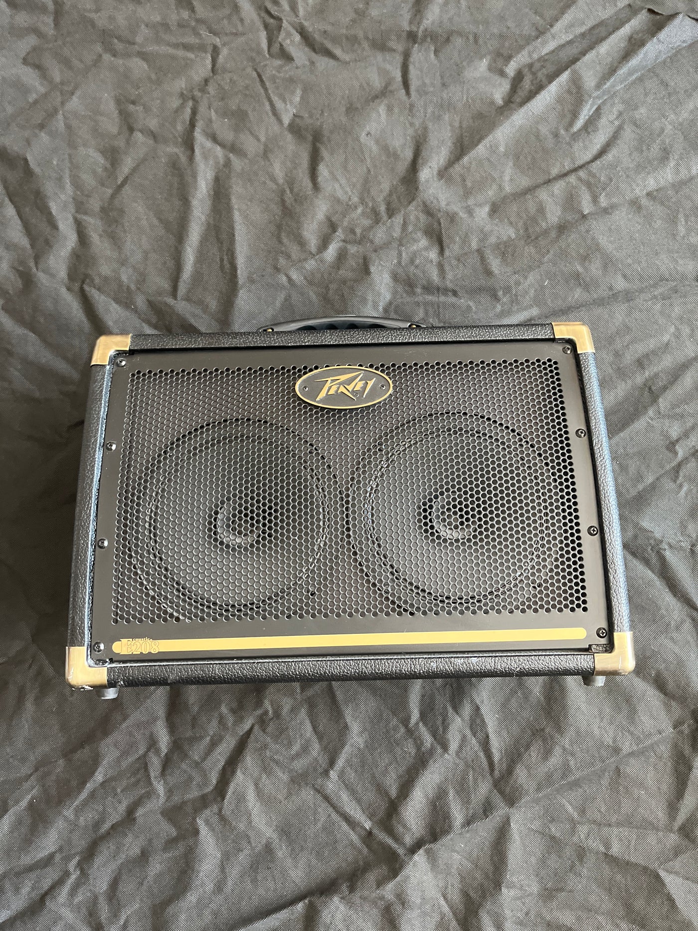 E208 Ecoustic - Acoustic guitar amp, used