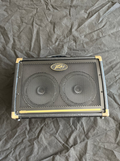E208 Ecoustic - Acoustic guitar amp, used