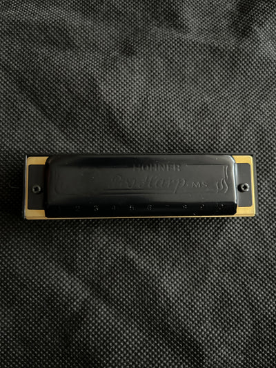 Pro Harp Ms G Harmonica, Used
