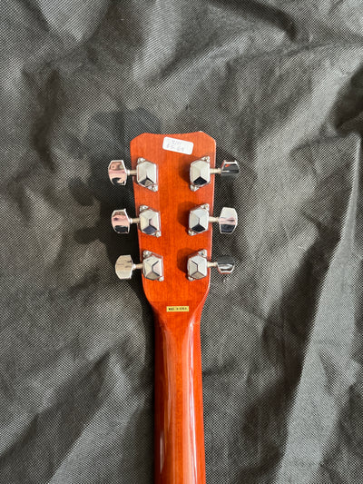 MW600N Acoustic Guitar, Used - GG69