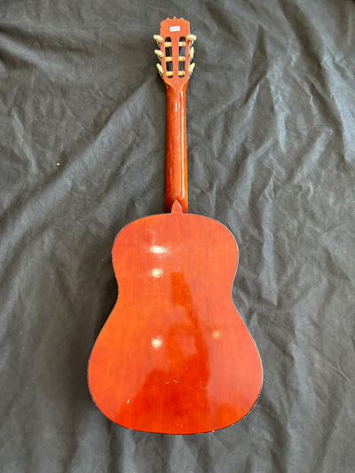 Leyanda CG313 Classical Guitar, Used