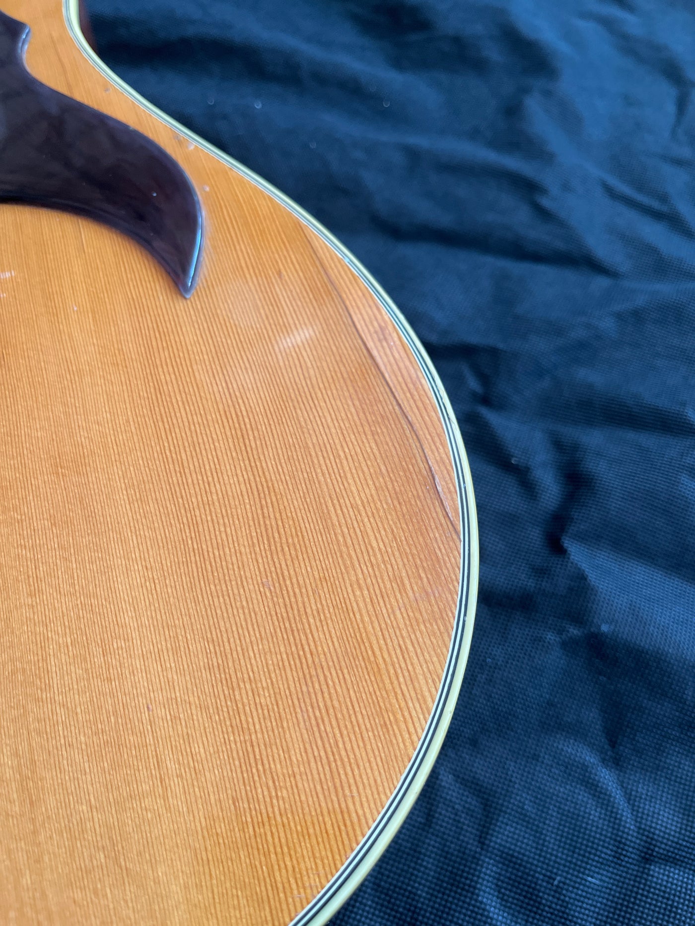 Vintage Ranger 12 String Acoustic, Used