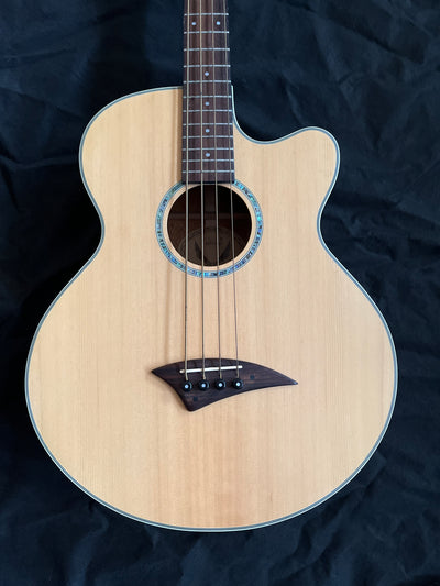 Performer CE Electro-Acoustic Bass Guitar & Gig Bag, Used - HH01C