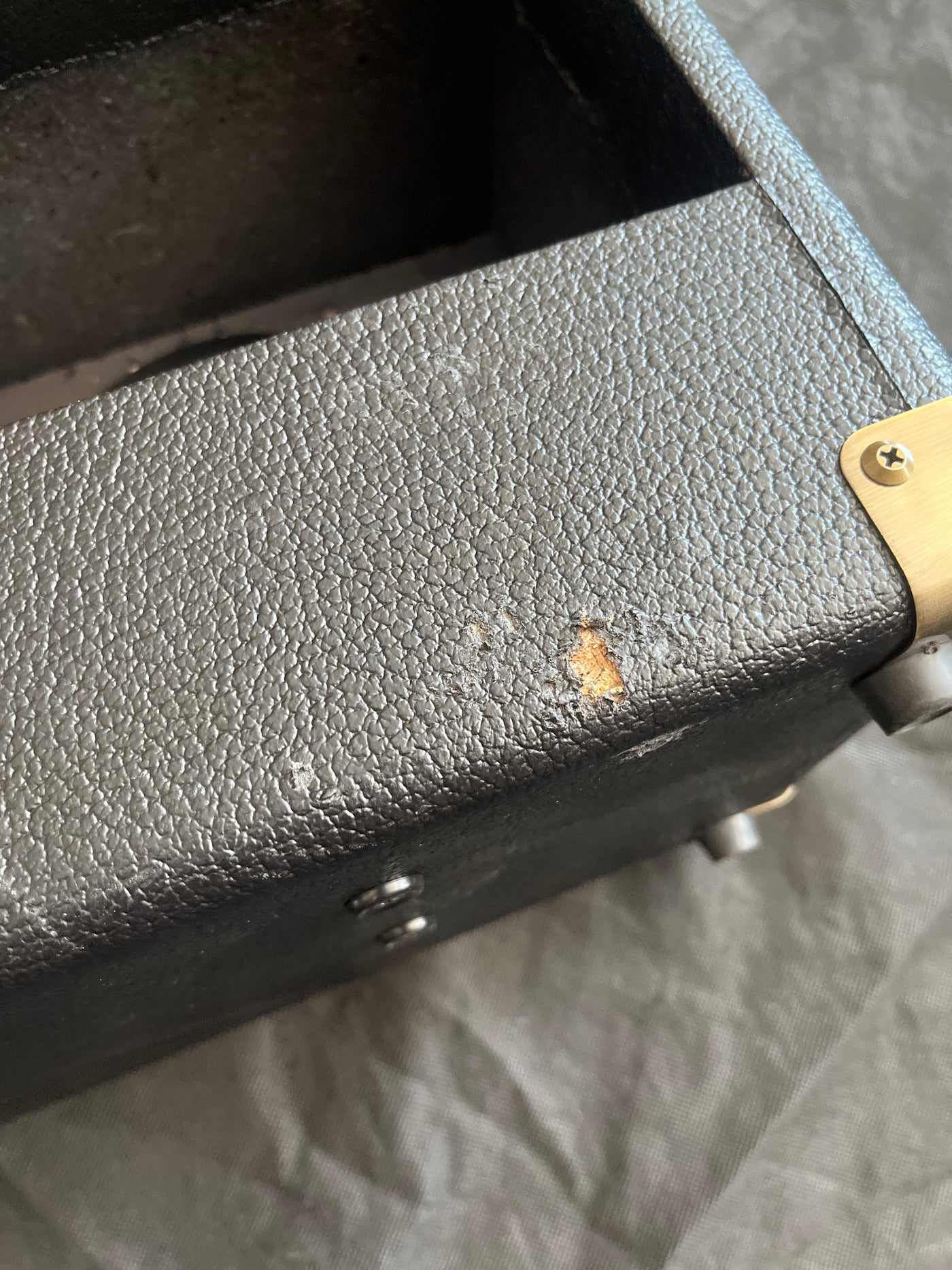 E208 Ecoustic - Acoustic guitar amp, used