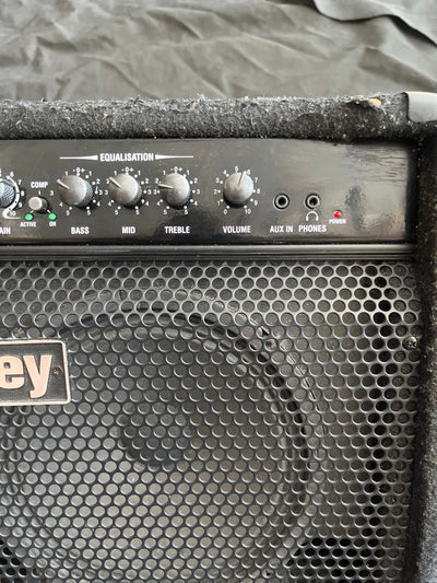 RB1 Richter 15 Watt Bass Amp, Used