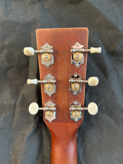 DM-15E Aged Electro-Acoustic Guitar - B Stock - 35% off