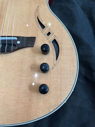 Nashville Nylon Strung NT, Used - GG38
