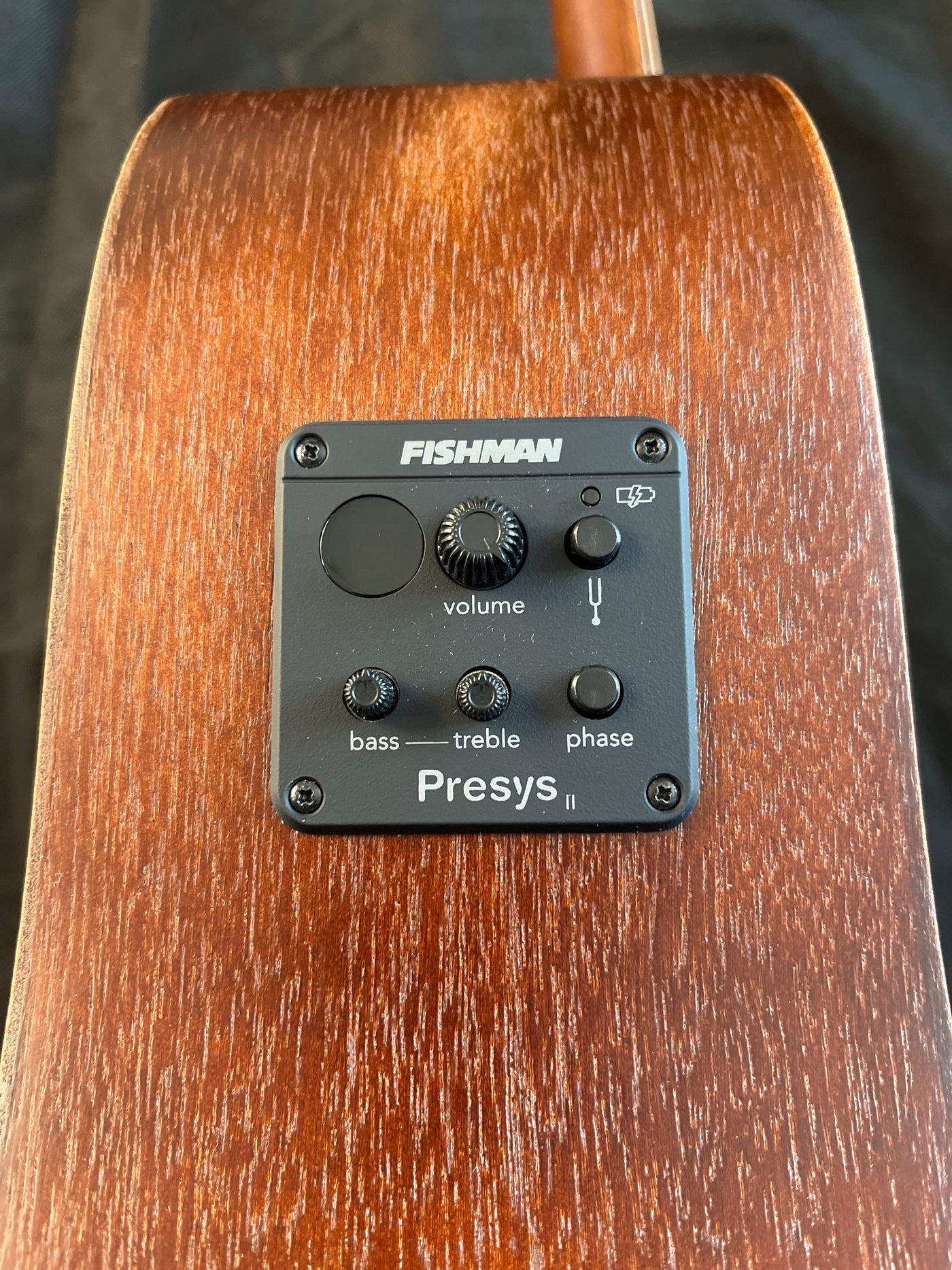 DM-15E Aged Electro-Acoustic Guitar - B Stock - 35% off