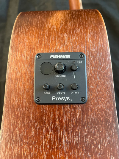 DM-15E Aged Electro-Acoustic Guitar - B Stock - 35% off