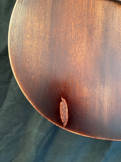 DM-15E Aged Electro-Acoustic Guitar - B Stock - 35% off