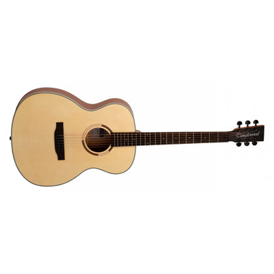 TS3 Folk Size Acoustic Guitar