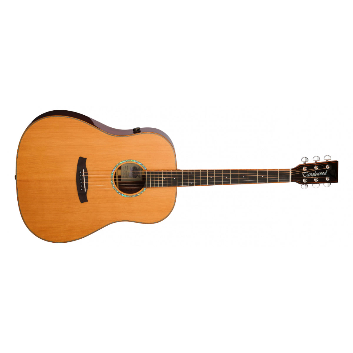 TRS5SE Rosewood Smart Dreadnought Electro-acoustic