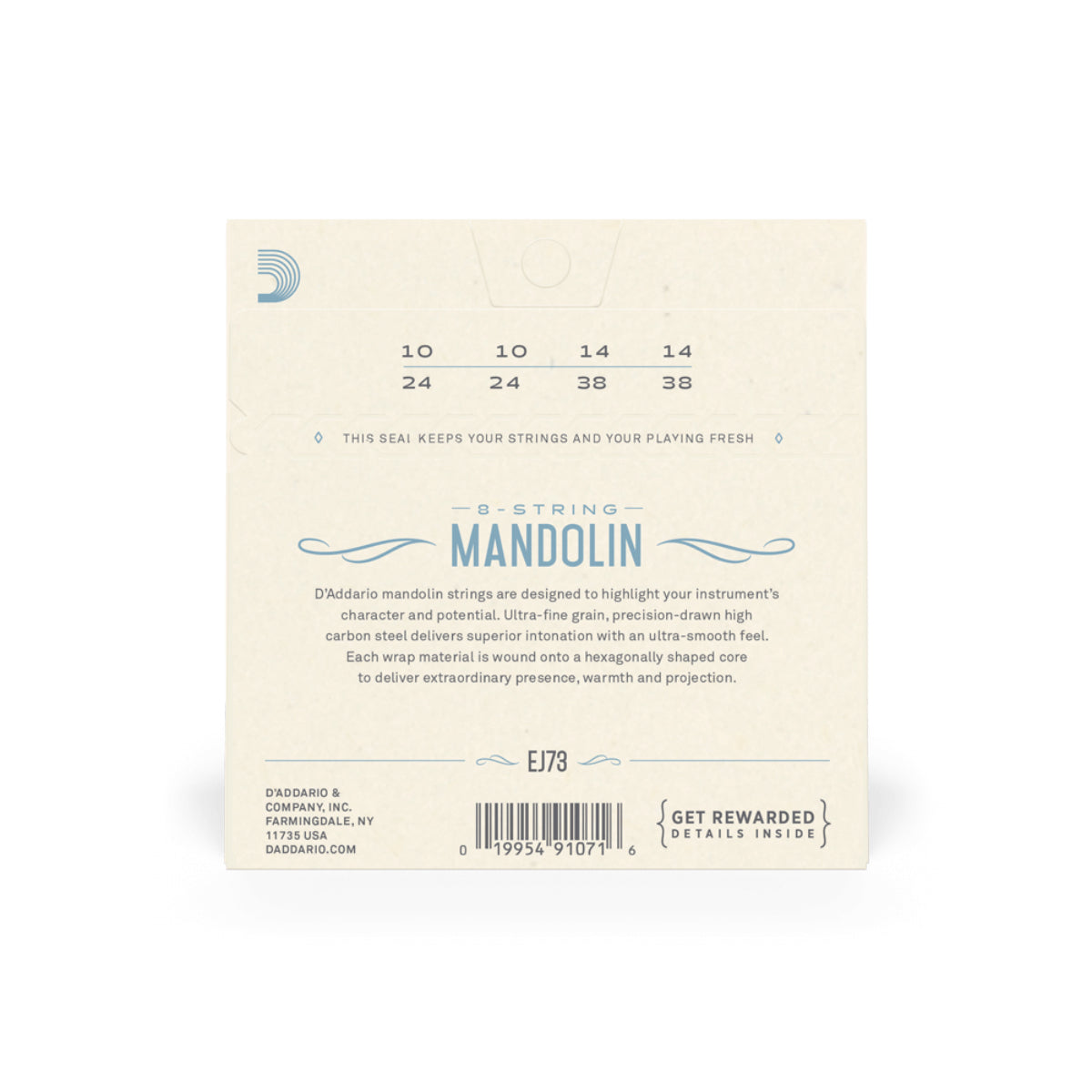 EJ73 Mandolin Phosphor Bronze Light