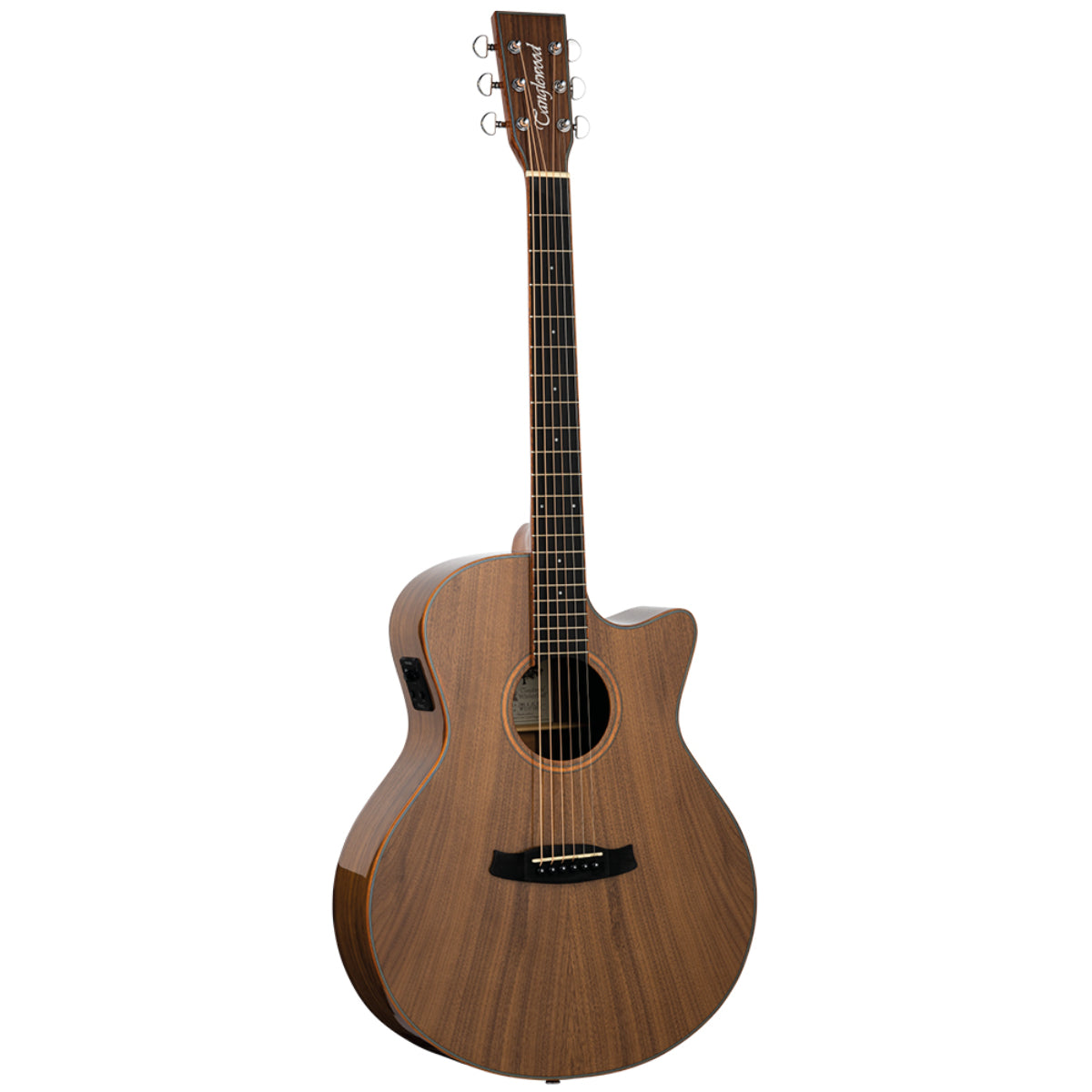 TW4E-VC-BW Winterleaf Venetian Cut Black Walnut Electro-Acoustic