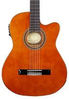 3910TNACE - 4/4 Thin Body Electro-Classical Guitar