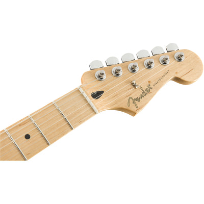 Mex Player Stratocaster, Tide Pool Blue, Maple Neck