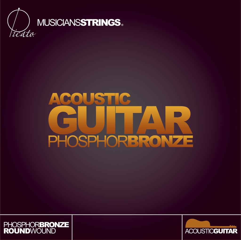 650AB Phosphor Bronze Acoustic Bass 5-String Set
