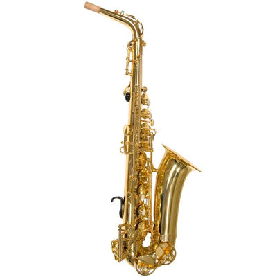 Alpha Alto Saxophone Outfit