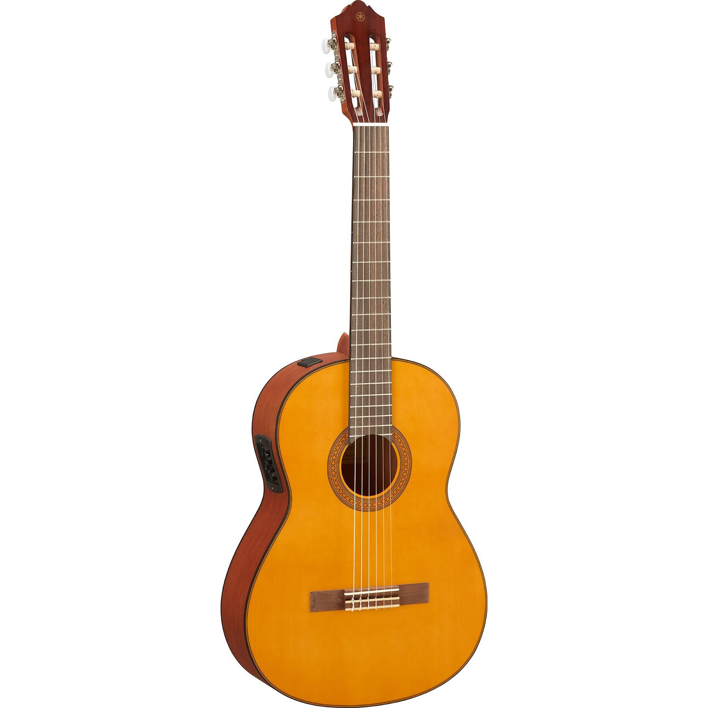 CGX 122 MSC Electro Classical Guitar