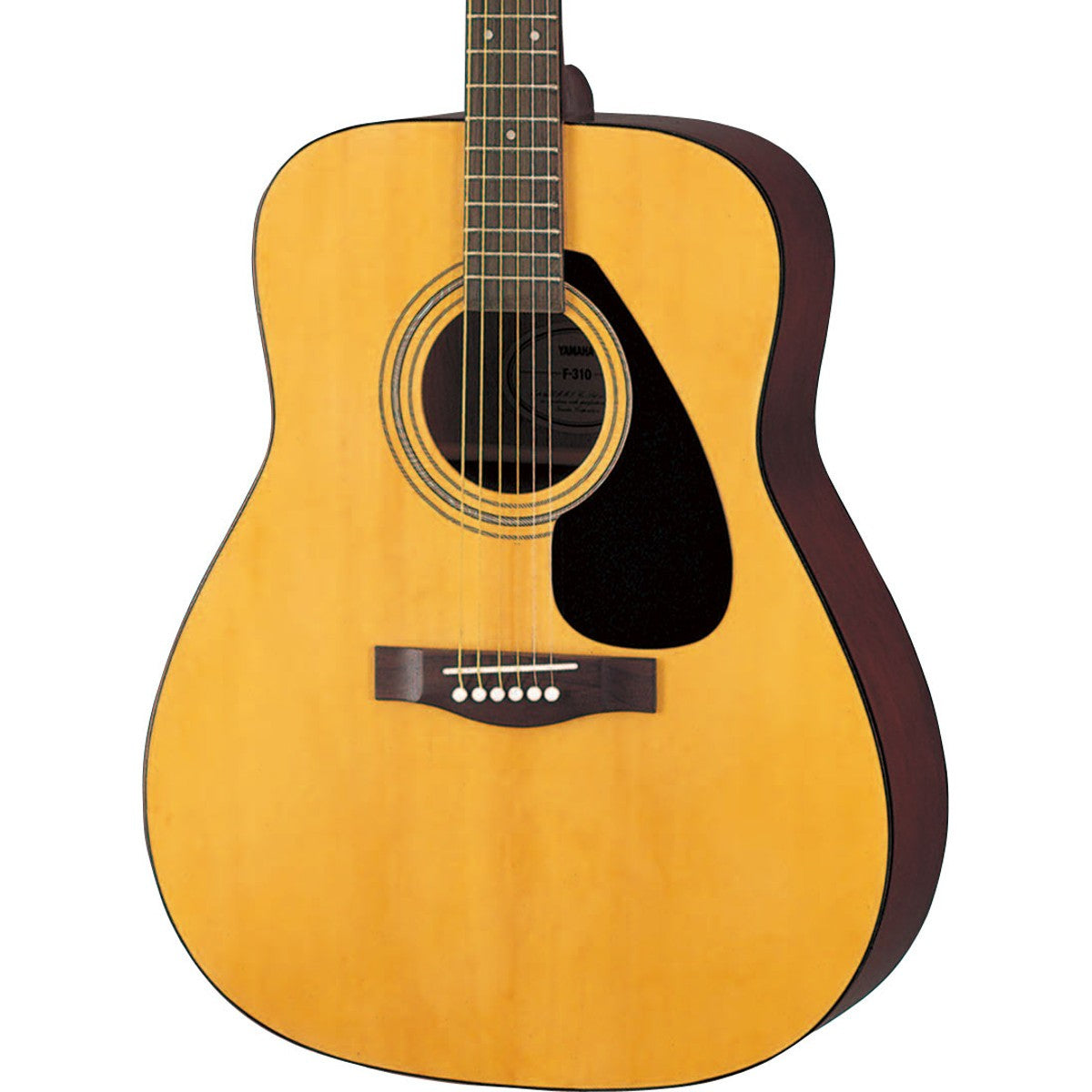 F310 Acoustic - Guitar only