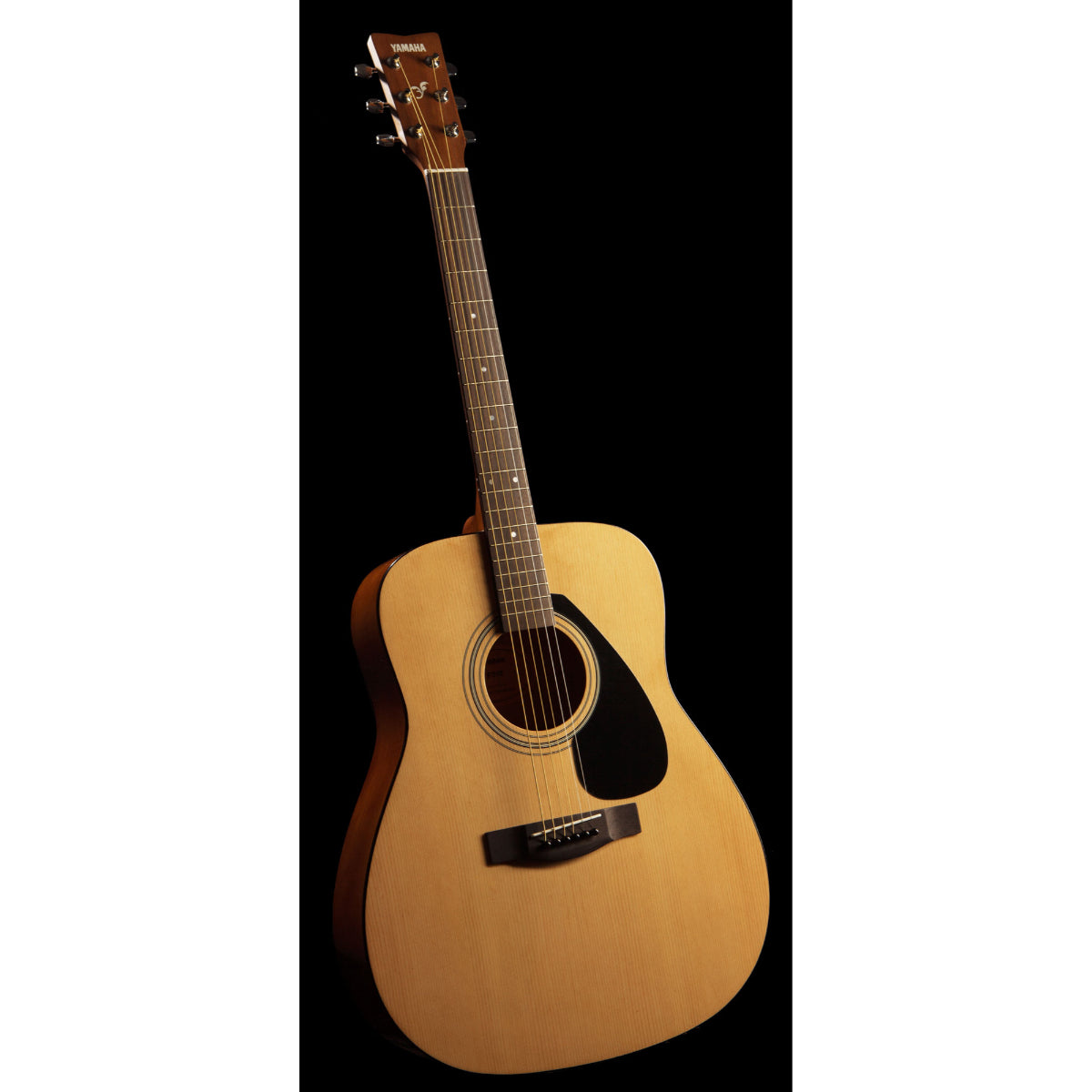 F310 Acoustic - Guitar only