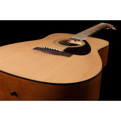 F310 Acoustic - Guitar only