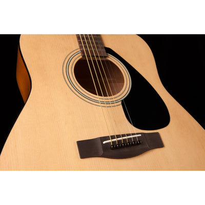 F310 Acoustic - Guitar only