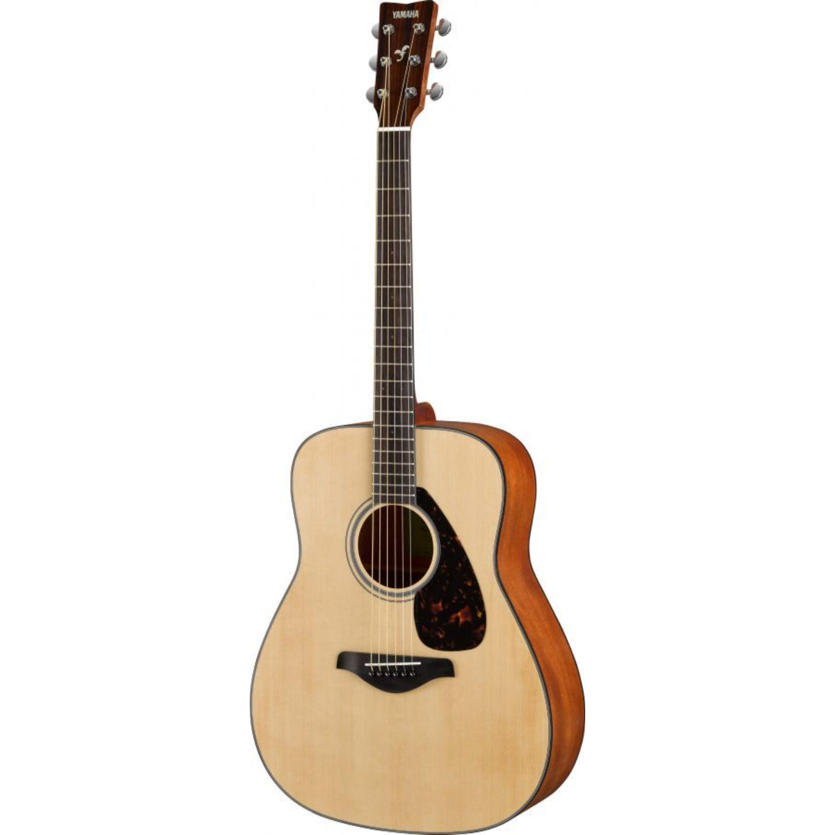 FG800M Acoustic, Natural Matt