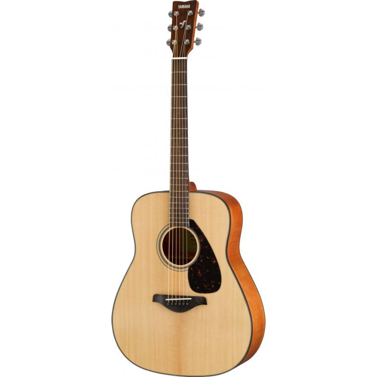 FG800 Acoustic, Natural