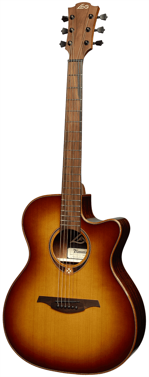 T118 ACE Electro Acoustic Guitar BRS, Solid Cedar Top