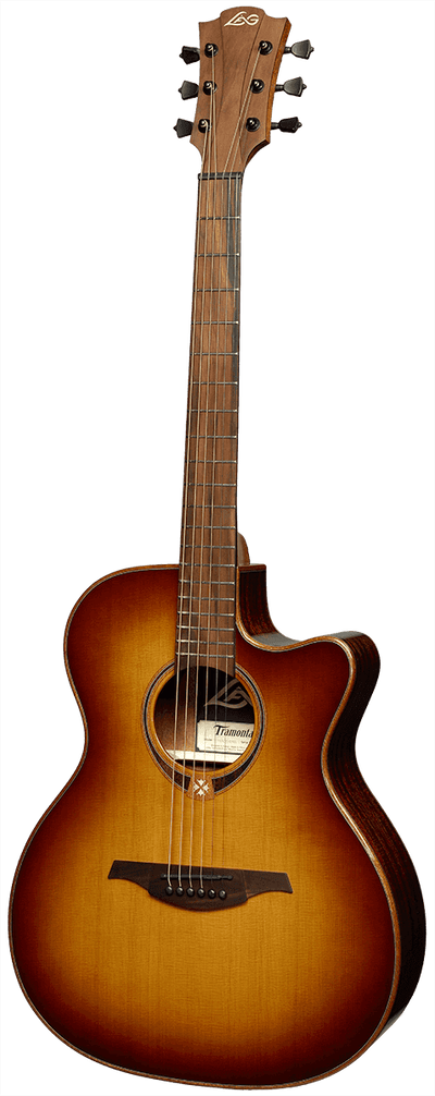 T118 ACE Electro Acoustic Guitar BRS, Solid Cedar Top