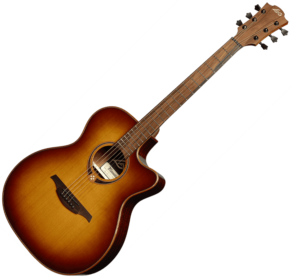 T118 ACE Electro Acoustic Guitar BRS, Solid Cedar Top