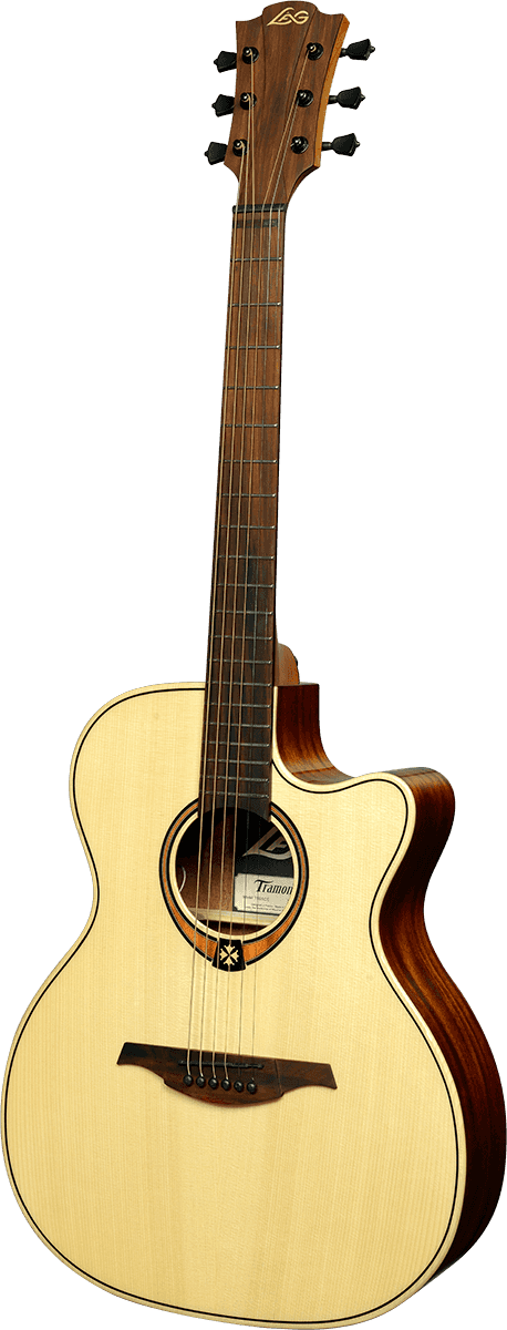 T88 ACE Electro Acoustic Guitar Cutaway