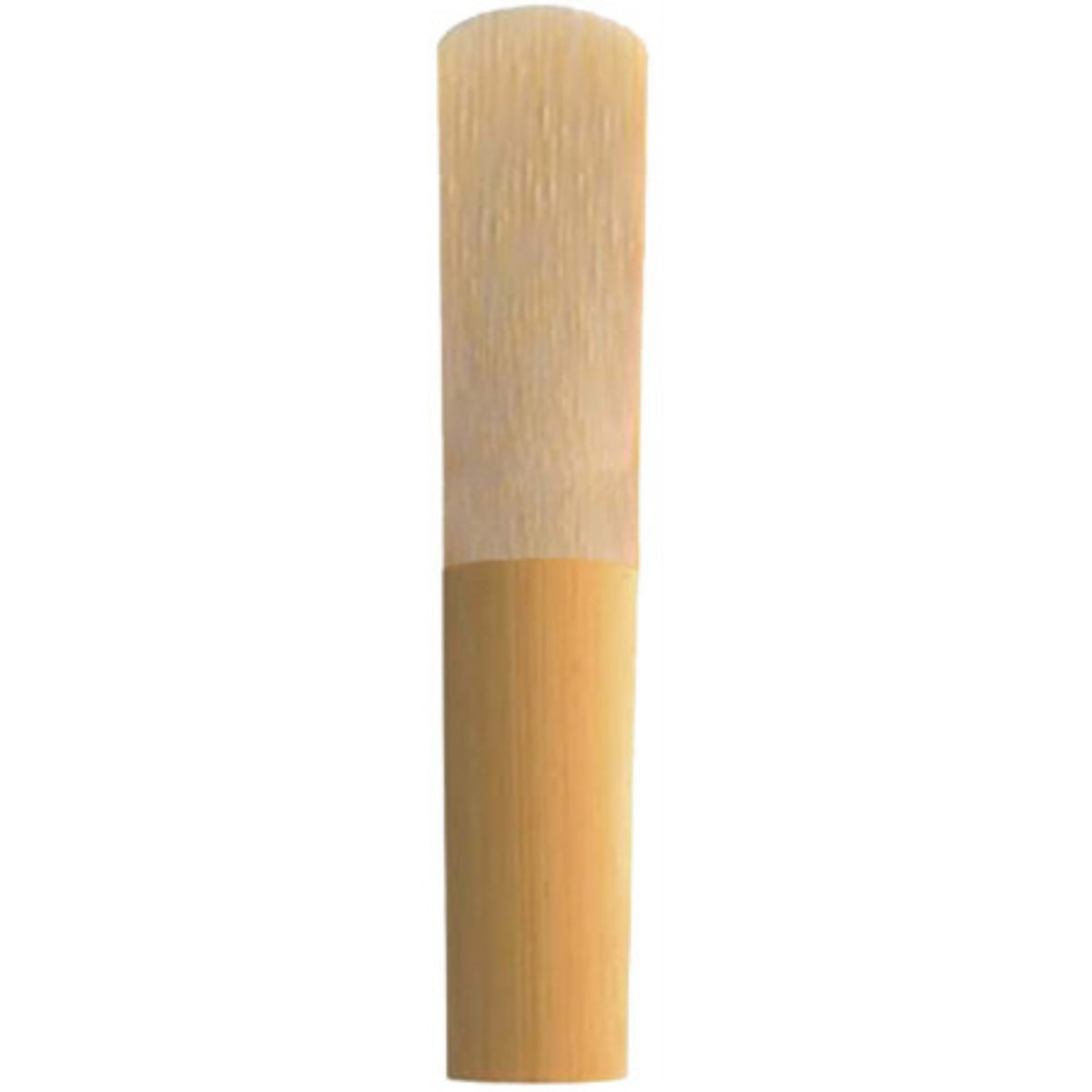 Clarinet Reed 3
