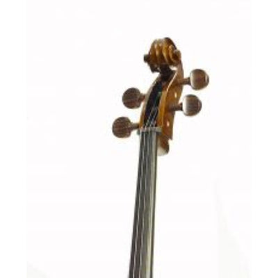 Student 1 Cello 4/4 Size Outfit