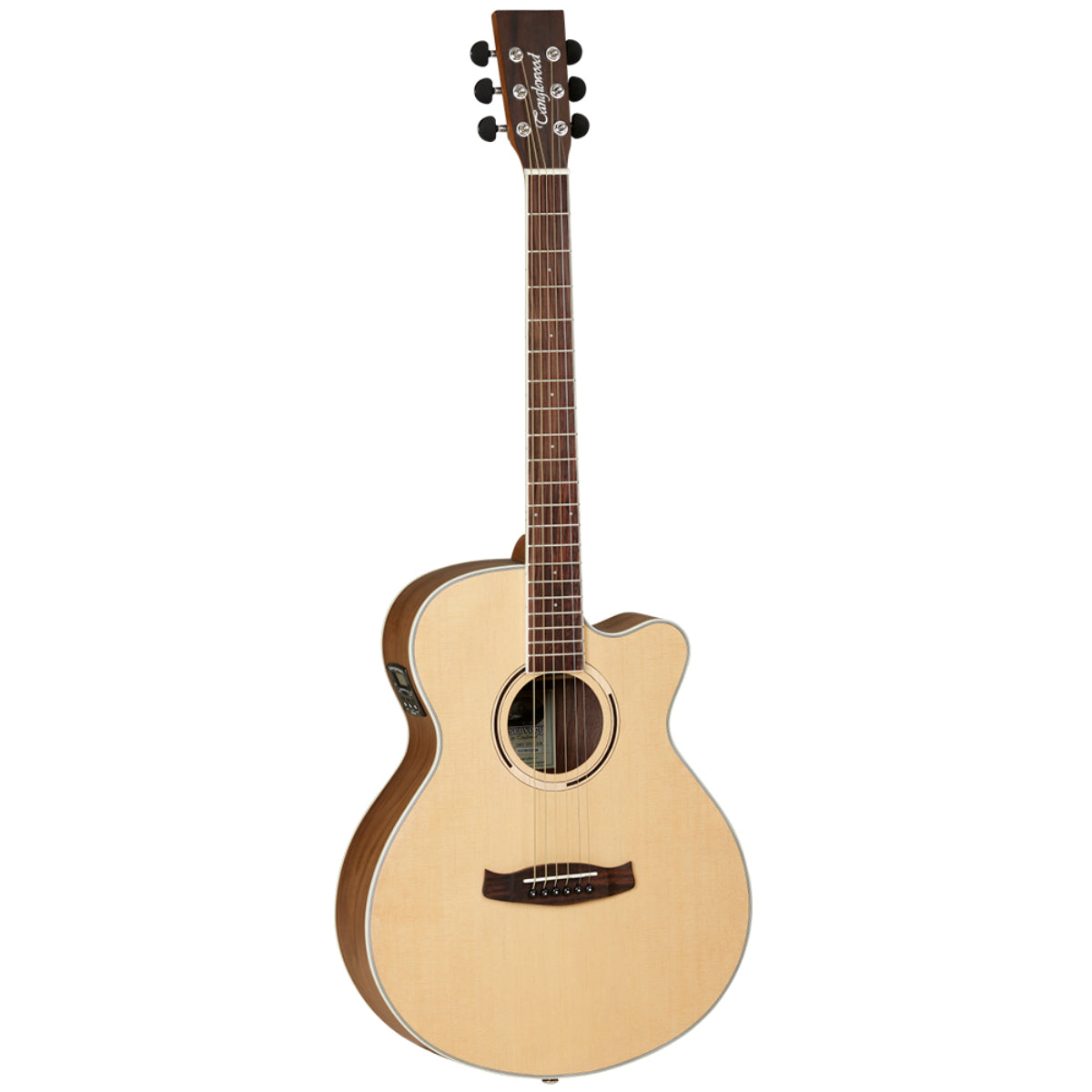 DBT SFCE BW, Discovery Series Electro-Acoustic