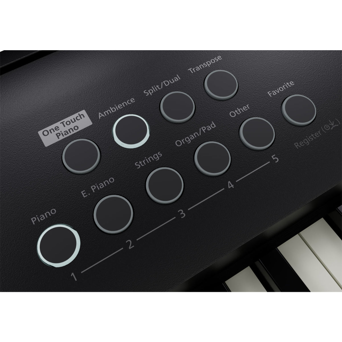 FP-E50 Digital Piano, Black