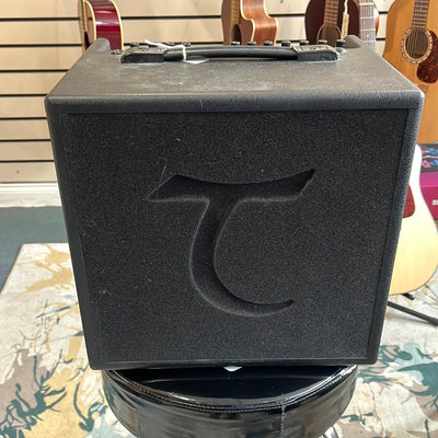 T6 Acoustic Amplifier with Bag, Used - BB66