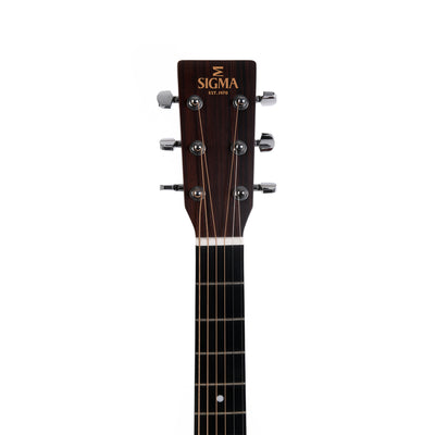 DM-1ST + Acoustic Guitar