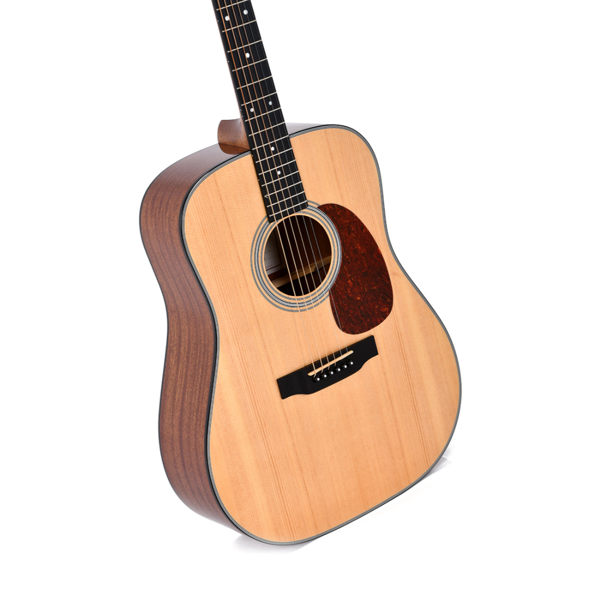 DM-1ST + Acoustic Guitar