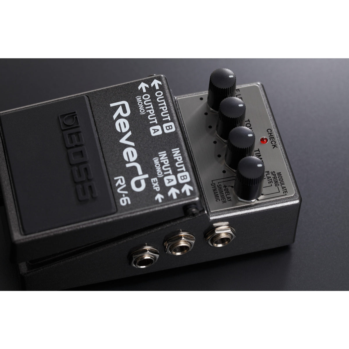 RV-6 Digital Reverb Pedal