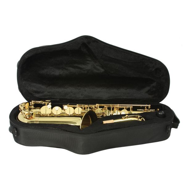 Alpha Alto Saxophone Outfit